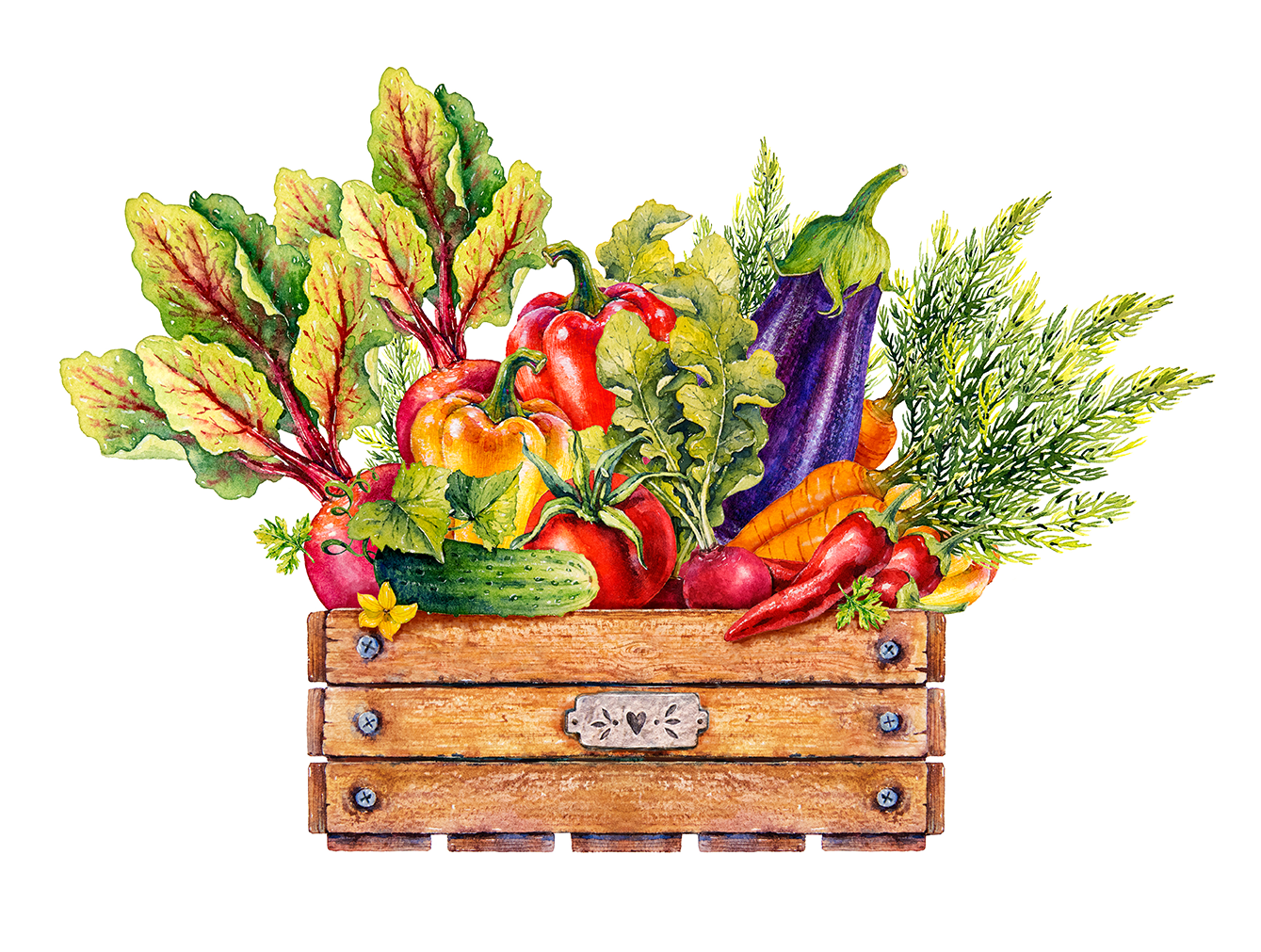 Fresh-Vegetables
