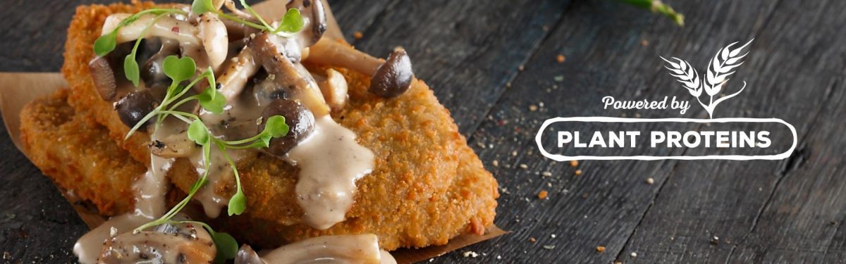 Plant proteins banner with chicken-style schnitzel and mushroom sauce