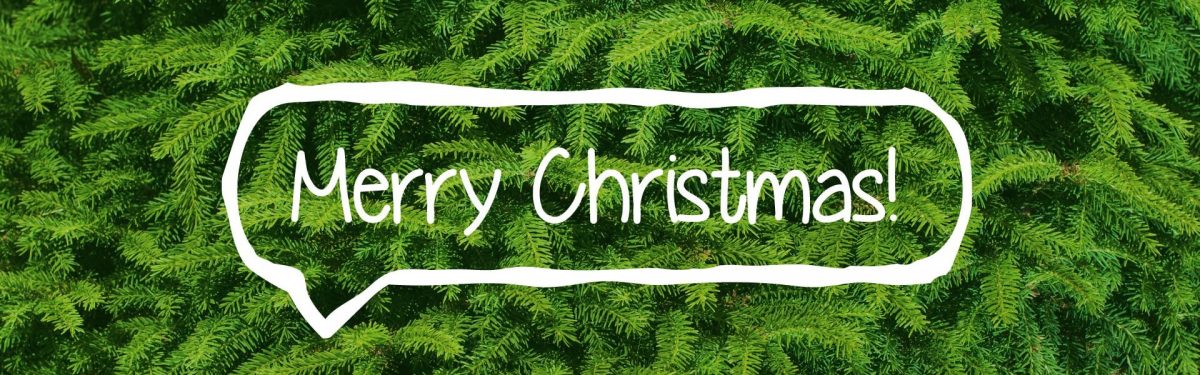 Merry Christmas banner with evergreen background