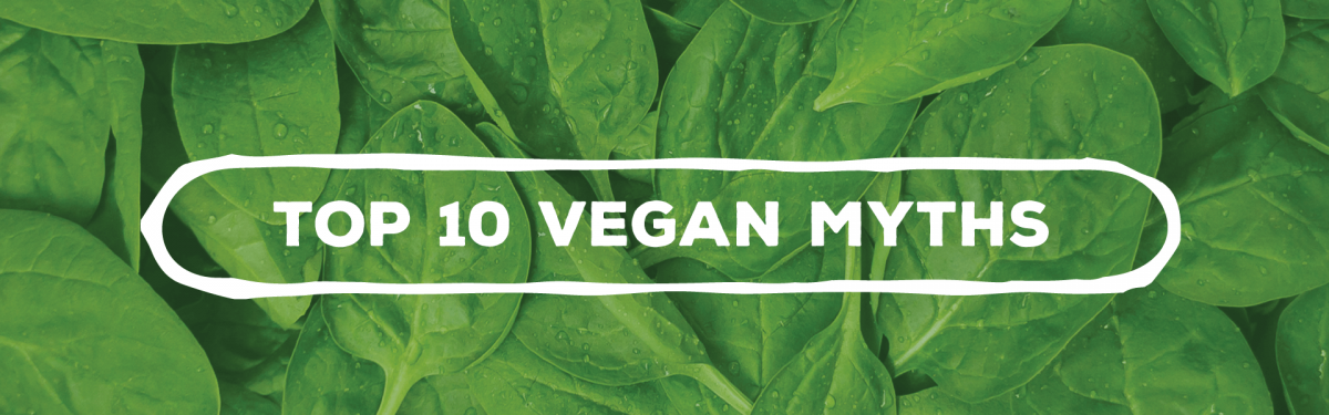 Vegan myths banner on basil leaf background