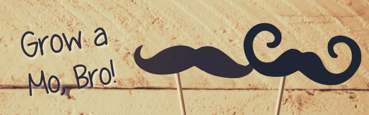 Movember banner: Grow a mo, bro.