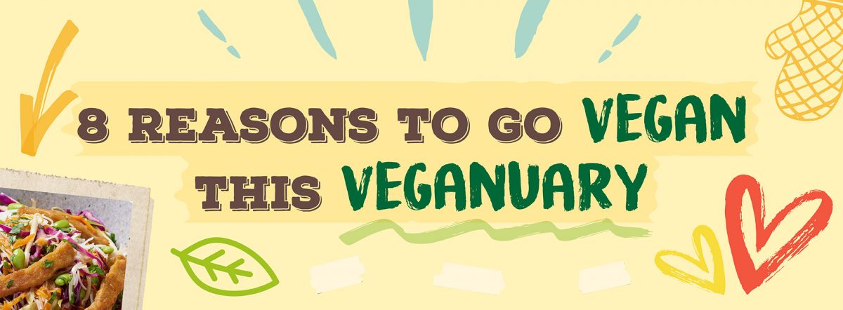 Colourful veganuary banner